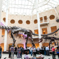 Discover the Best Museums Near Atlanta, GA